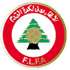 Lebanon Futsal 队徽